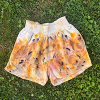 Image 1 of Sunshine and Lavender Shorts- Small/Medium