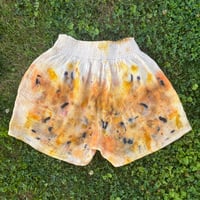 Image 2 of Sunshine and Lavender Shorts- Small/Medium