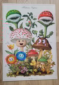 Image 4 of Mushroomus Kingdomus - Fine art print