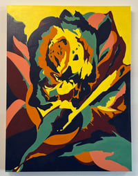 Campo Graphic - Mind Fullness