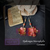 Image 1 of ☽ Hydrangea Carmina ☾