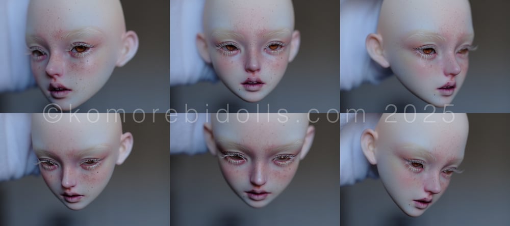 ON HOLD Tianba Lynn One of a Kind painted head with 2 plates