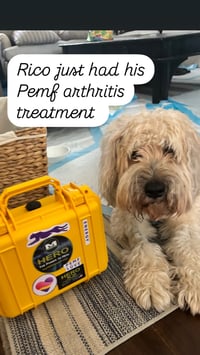 Image 1 of Pemf and healing technologies (mobile)  animals and people.