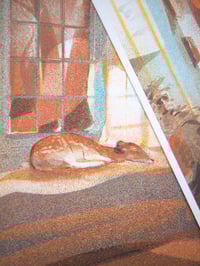 Image 3 of Bedroom Dweller A5 Risograph Print