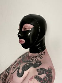 Image 1 of Signature Hood