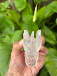 Image 2 of GARDEN 🪴 QUARTZ DRAGON 🐉 