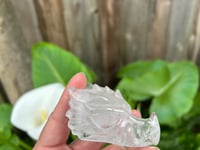 Image 1 of GARDEN 🪴 QUARTZ DRAGON 🐉 