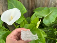 Image 3 of GARDEN 🪴 QUARTZ DRAGON 🐉 
