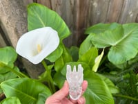 Image 4 of GARDEN 🪴 QUARTZ DRAGON 🐉 
