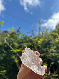 Image 1 of GARDEN QUARTZ DRAGON 🐉 