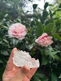 Image 3 of GARDEN QUARTZ DRAGON 🐉 