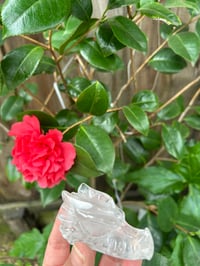 Image 5 of GARDEN QUARTZ DRAGON 🐉 