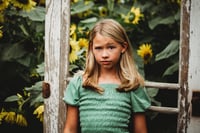 Image 3 of SUNFLOWER fields forever ~ minis
