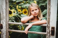 Image 8 of SUNFLOWER fields forever ~ minis