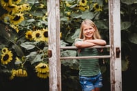 Image 13 of SUNFLOWER fields forever ~ minis