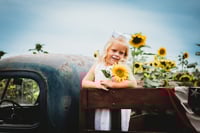 Image 15 of SUNFLOWER fields forever ~ minis