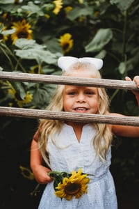 Image 18 of SUNFLOWER fields forever ~ minis
