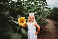 Image 19 of SUNFLOWER fields forever ~ minis
