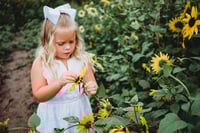 Image 2 of SUNFLOWER fields forever ~ minis