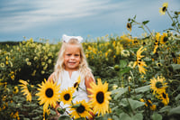 Image 21 of SUNFLOWER fields forever ~ minis