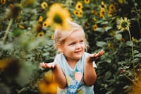 Image 5 of SUNFLOWER fields forever ~ minis