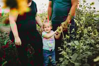 Image 16 of SUNFLOWER fields forever ~ minis