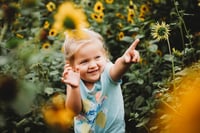 Image 12 of SUNFLOWER fields forever ~ minis