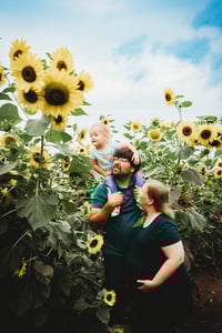 Image 23 of SUNFLOWER fields forever ~ minis