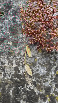 Image 3 of Collier Natura