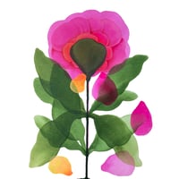 Image 1 of Passion