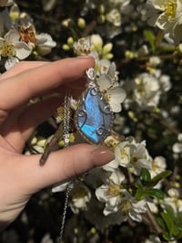 Image 1 of Labradorite in Silver