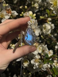 Image 2 of Labradorite in Silver