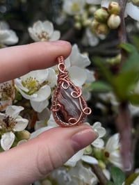 Image 1 of Botswana Agate