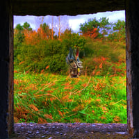 Edward Ka-Spel 'The Sympathy Portal' LP  PRE-ORDER