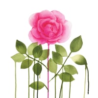 Image 1 of Gingembre