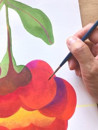 Image 2 of Piment