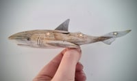 Image 1 of Terry - Driftwood Shark