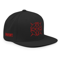 Image 1 of Polar Shift ⏐ BTM Snapback Cap