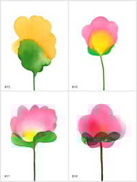 Image 4 of Bloom 