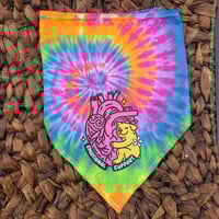 Image 5 of Doggy Bandanas