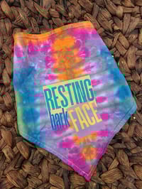 Image 9 of Doggy Bandanas