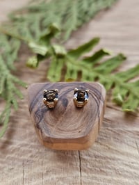 Image 1 of 14k Yellow Gold Smokey Quartz Stud Earrings 