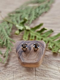 Image 3 of 14k Yellow Gold Smokey Quartz Stud Earrings 