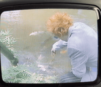 Image 8 of PIL 'Japan 83'