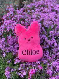 Image of Personalized Plush Bunny