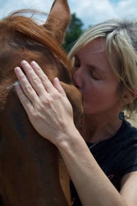 Image 2 of Hands on equine and small animal  energy work