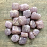 Image 1 of Lepidolite Tumbled Stones – Crown Chakra Healing, Emotional Healing & Transition