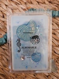 Image 11 of Albemarle- A Rockytop Wax Works exclusive custom houseblend fragrance 