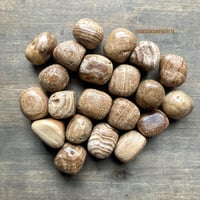 Image 1 of Chocolate Calcite Tumbled Stone – Grounding, Emotional Stability & Base Chakra Healing