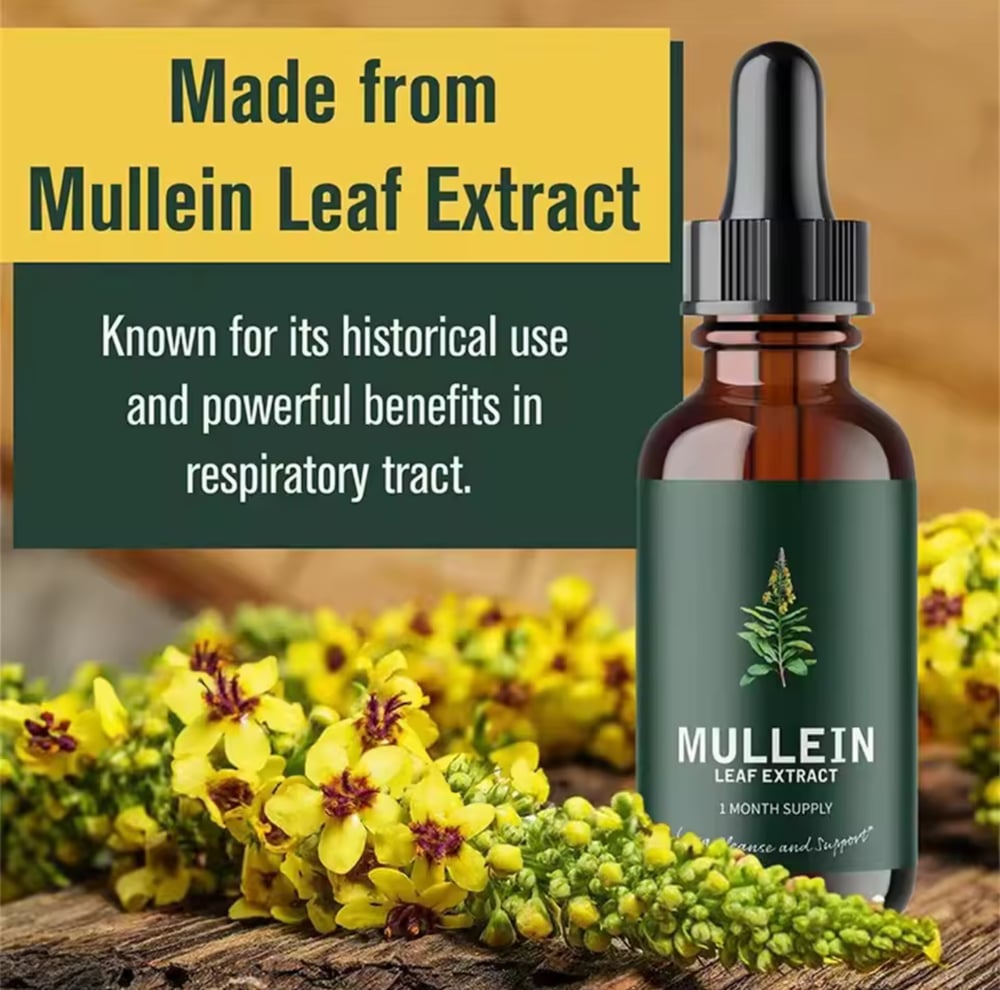 Image of Mullein Leaf Extract